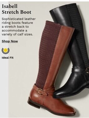 Cole Haan Isabell Grand Stretch Brown Leather Knee High Riding Boots NWOB
